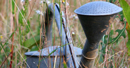 watering can