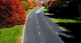 highway with trees