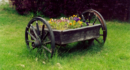 flower wagon