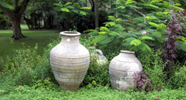 garden pots